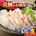 【ふるさと納税】鯛 真鯛 刺身用 4〜5人前 ふっくら 肉厚 真空 急速凍結 脂乗り パーティー お祝い 旨味 魚 魚介類 食品 熊本 天草 お取り寄せ お取り...