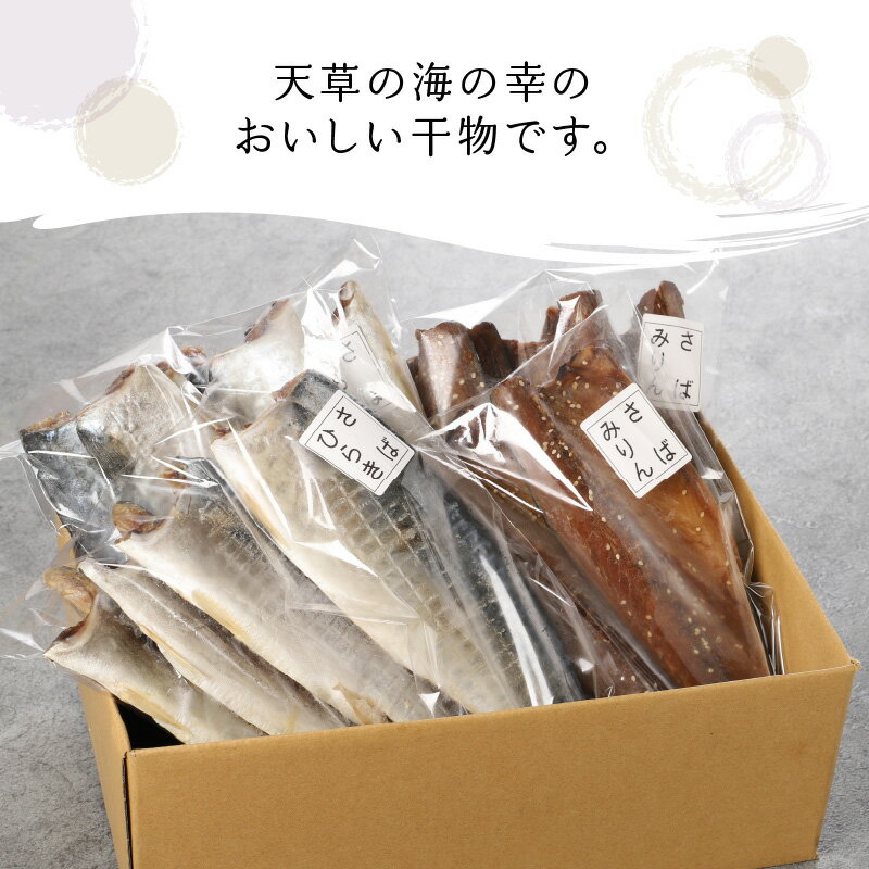 【ふるさと納税】干物 鯖 さばづくし 一夜干し ひらき 甘塩 みりん干し 冷凍 魚 国産 加工品 海の幸 まるまのひもの 海産物 おかず おつまみ お取り寄せ お取り寄せグルメ 九州 熊本県 天草市 送料無料