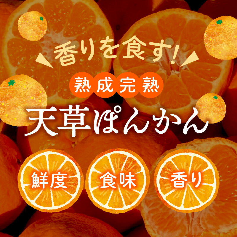 【ふるさと納税】【訳あり】熟成 完熟 天草 ぽんかん 1月発送 箱 込み 約 5kg サイズ混合 約 30玉 ～ 40玉 高しょう系ぽんかん 鮮度 濃厚 甘さたっぷり 柔らかい果肉 フルーツ おやつ 美味しい 予措 常温 箱 上果園 熊本県 天草市 下浦町 送料無料〈先行受付〉