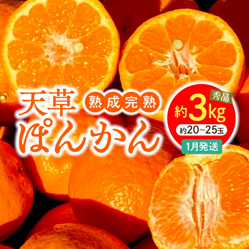 特産品説明 名称 【ふるさと納税】香りを食す！熟成完熟天草ぽんかん 1月発送 約3kg秀品〈先行受付〉 内容量 約3kg サイズ混合約20玉〜25玉 消費期限 到着より10日前後を目安にお召し上がりください。 配送温度帯 常温 説明 香りを食す！熟成完熟天草ぽんかん『鮮度・食味・香り』の三拍子♪熊本県天草市の中でも、温暖で柑橘の栽培に適した下浦町で約80年以上ぽんかん栽培に取り組んでいます。代々受け継がれたぽんかんの木、栽培技術を継承し、新しい技術、栽培方法を学び取り入れながら、より美味しいぽんかんを目指しています。健全な土作り・環境作りを行い、土の微生物の力・ミネラルの力により鮮度良く長持ち、食味後味の良いぽんかんです。上果園のぽんかんは、収穫後に昔ながらの保湿に優れた土間の貯蔵庫にて”予措”というおまじないをかけて、鮮度を閉じ込めて『熟成完熟』します。『鮮度・食味・香り』三拍子揃った上果園の『男気ぽんかん』を是非お召し上がり下さい。ぽんかんには種があります。飲み込んでも問題はありません。ぽんかんの旬は12月～3月頃と言われていますが、上果園では、一番美味しい1月と2月限定で発送しております。また1月と2月では品種が異なります。1月のぽんかんは、腰高で大玉傾向の高しょう系ぽんかん。2月のぽんかんは、扁平で小玉傾向の低しょう系ぽんかん。どちらも濃厚な甘い香りに甘さたっぷり、柔らかい果肉で薄皮ごとパクッ！と食べることができます。 生産地 熊本県天草市 保存方法 箱を開けていたみがないかご確認の上、乾燥しすぎない涼しい場所で保管してください。暖房が効いた部屋での保管はお控えください。 注意事項 ※配送日の指定はできません。※当返礼品は「常温」にて出荷いたします。一部地域・時期によっては、配送時の気温低下による冷凍状態で届いてしまう可能性もございますので、ご了承のうえお申し込みください。※期間限定の返礼品は、配送時期を必ずご確認ください。※天候や自然災害、交通状況などの影響により、配送が遅れる場合があります。※ご寄付者様の都合により返礼品を受け取れなかった場合、または受け取りまでに時間がかかった場合は、再配送は致しかねます。※長期でのご不在や、ご住所の変更は、配送予定日の3週間前までにご連絡ください。※複数個同日お申し込みの場合でも、同時にお届けができない場合があります。※出荷準備に入りますと住所の変更は出来かねる場合がございます。お早めにご連絡ください。※送り状記載のお届け先から転送先までの送料を着払いにてご負担いただきます。予めご了承ください。転送される場合、直接配送業者へご連絡ください。 地場産品該当理由 市内で生産された柑橘であるため 発送時期 2025年1月中に発送いたします。 提供事業者 上果園 ・ふるさと納税よくある質問はこちら・寄付申込みのキャンセル、返礼品の変更・返品はできません。あらかじめご了承ください。 地場産品基準：1号 市内で生産されているため【ふるさと納税】香りを食す！熟成完熟天草ぽんかん 1月発送 約3kg秀品〈先行受付〉 入金確認後、注文内容確認画面の【注文者情報】に記載のご住所へ、2週間程度で発送いたします。（返信封筒あり・切手不要）