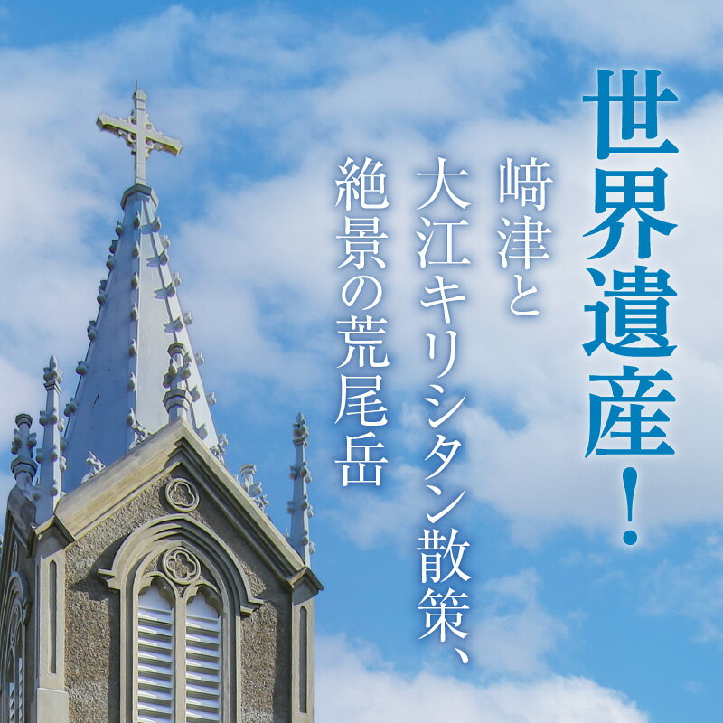 【ふるさと納税】旅行 天草 プライベート ツアー 2名様 世界遺産 崎津 大江キリシタン 散策 絶景 荒尾岳 国内 観光 体験 高級リゾート ホテルアレグリアガーデンズ 最上階 スイートルーム 海の幸 山の幸 ジャンボタクシー 九州 熊本 貸し切り 送料無料