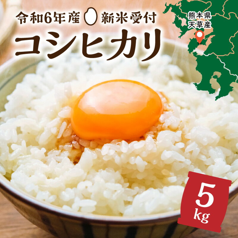 米 早期 新米 5kg コシヒカリ 令和6年産 8月 配送 熊本県 天草産 下浦 とれたて お米 弁当 おにぎり ご飯 食品 食べ物 常温 国産 お取り寄せ 九州 送料無料