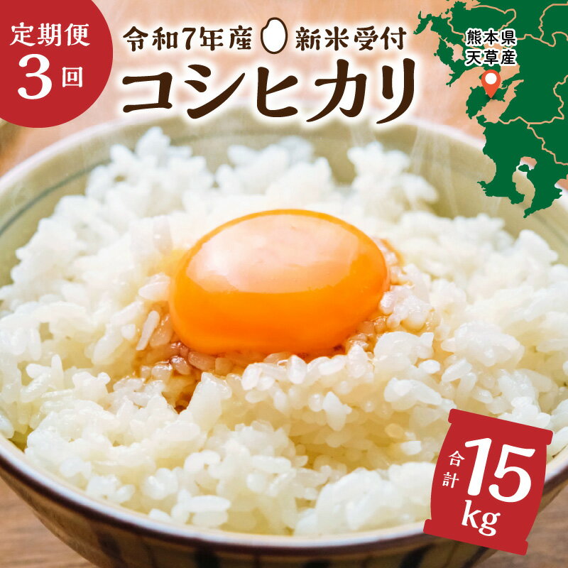 【ふるさと納税】米 定期便 3回 早期 新米 5kg コシヒカリ 8月 10月 12月 配送 熊本県 天草産 下浦 とれたて お米 弁当 おにぎり ご飯 食品 食べ物 常温 国産 お取り寄せ 九州 送料無料のサムネイル
