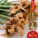 特産品説明 名称 【ふるさと納税】生姜 内容量 生姜2kg 賞味期限 1か月●到着後お早めにお使いください。 ●生姜の保管最適温度が13℃〜15℃です。 配送温度帯 常温 説明 天草市五和町の山間部にて栽培期間中、農薬や化学肥料、除草剤等を使用せずに、自然なものを中心に土作りからこだわって丁寧に栽培。秋に収穫した新生姜をお届けします。【生産者様の声】天草市五和町の山間部にて生姜とお米を栽培しています。栽培期間中農薬・化学肥料、除草剤等を使わずに自然なものを中心に土作りにこだわっています。 原材料 生姜 【生産地・加工地】 天草産 アレルギー 特定原材料7品目は使用していません 特定原材料に準ずる21品目は使用していません 保存方法 直射日光を避け冷暗所にて保存 注意事項 ※画像はイメージです。※配送日の指定はできません。※天候や自然災害、交通状況などの影響により、配送が遅れる場合があります。※ご寄付者様の都合により返礼品を受け取れなかった場合、または受け取りまでに時間がかかった場合は、再配送は致しかねます。※長期でのご不在やご住所の変更は、配送予定日の3週間前までにご連絡くださいますようお願い申し上げます。(配送予定日近くのご連絡は対応ができない場合があり、転送料金をご負担いただきます。予めご了承ください。)※複数個同日お申し込みの場合でも、同時にお届けができない場合があります。※出荷準備に入りますと住所の変更は出来かねる場合がございます。お早めにご連絡ください。※送り状記載のお届け先から転送先までの送料を着払いにてご負担いただきます。予めご了承ください。　転送される場合、直接配送業者へご連絡ください。 発送期日 ※配送時期【2023年9月〜12月】収穫ができ次第、お届けいたします。※9月10月は冷蔵でお届けいたします。 提供事業者 食べる生活百貨店 ・ふるさと納税よくある質問はこちら・寄付申込みのキャンセル、返礼品の変更・返品はできません。あらかじめご了承ください。地場産品基準：1号 市内で生産された生姜であるため【ふるさと納税】生姜 入金確認後、注文内容確認画面の【注文者情報】に記載のご住所へ、3週間程度で発送いたします。（返信封筒あり・切手不要）