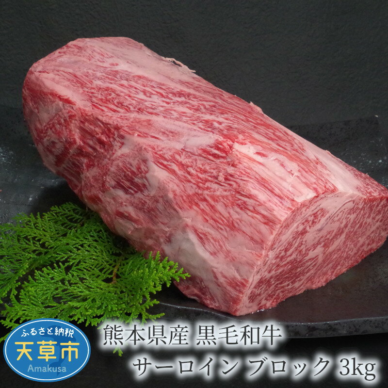 【ふるさと納税】【着日指定】 天草産 黒毛和牛 サーロイン ブロック 3kg とろける 食感 霜降り 肉 牛肉 肉質等級 A4〜A5 熊本県 自社牧場 産地直送 ミシュランビブグルマン獲得 田中畜産 ステーキ 焼き肉 天草 お取り寄せ 送料無料