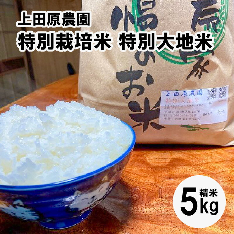 令和5年産 5kg コシヒカリ ヒノヒカリ 特別栽培米 特別大地米 精米 白米 ごはん おにぎり 米作り 熊本県 天草 お取り寄せ 食品 九州 故郷の味 常温 送料無料