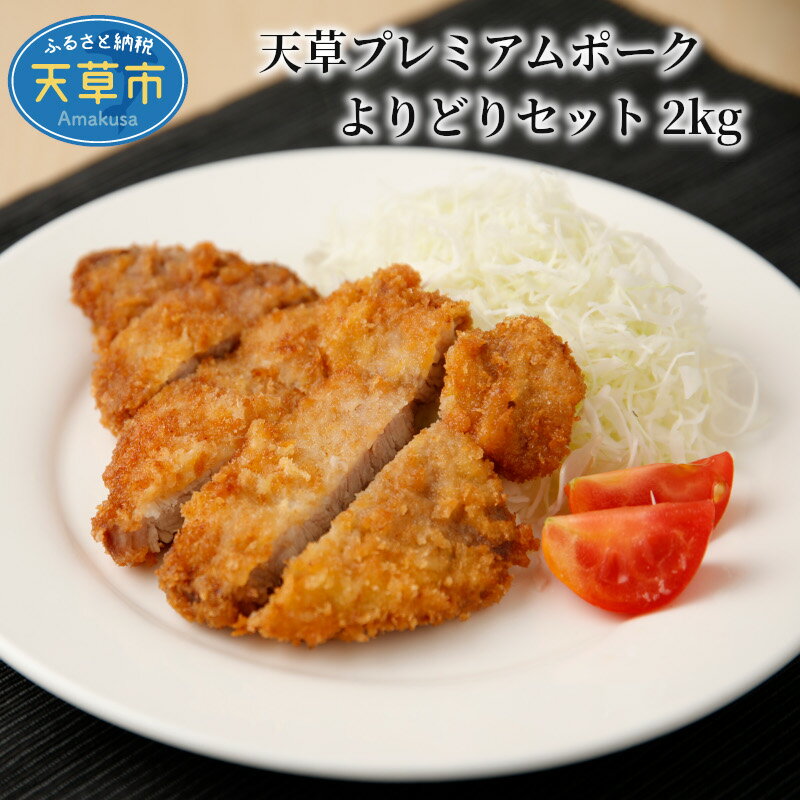 【ふるさと納税】豚肉 セット 約 2kg 豚ロース バラ 肩ロース 焼肉 しゃぶしゃぶ 生姜焼き とんかつ 産地直送 国産 プレミアムポーク 天草市 熊本県 柔らか あっさり 食品 お取り寄せ お取り寄…