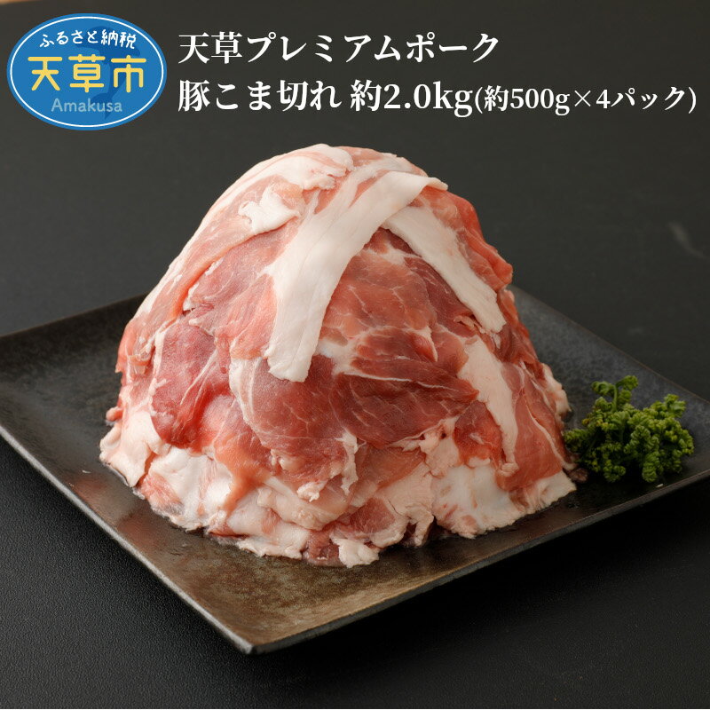 【ふるさと納税】豚肉