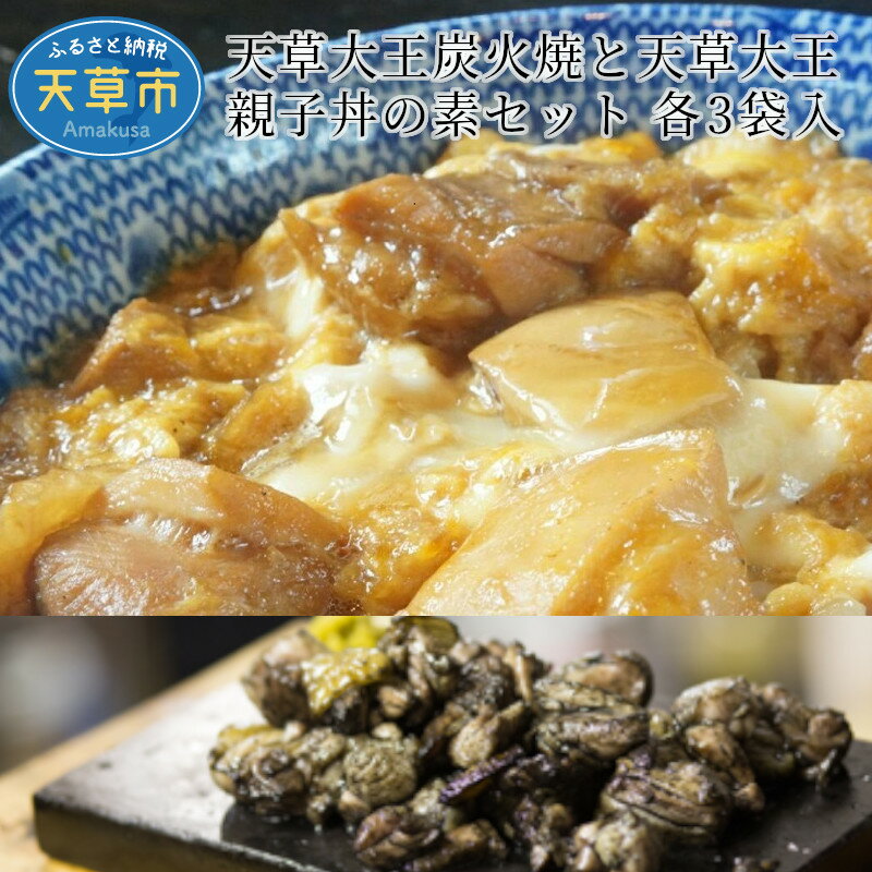 【ふるさと納税】鶏肉 親子丼 セット 炭火焼 120g 3袋