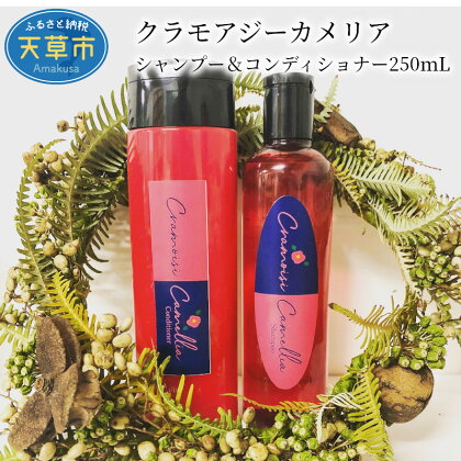 美容 シャンプー コンディショナー セット 各 250ml 椿油 カメリア 国産 Ring-a-Bell
