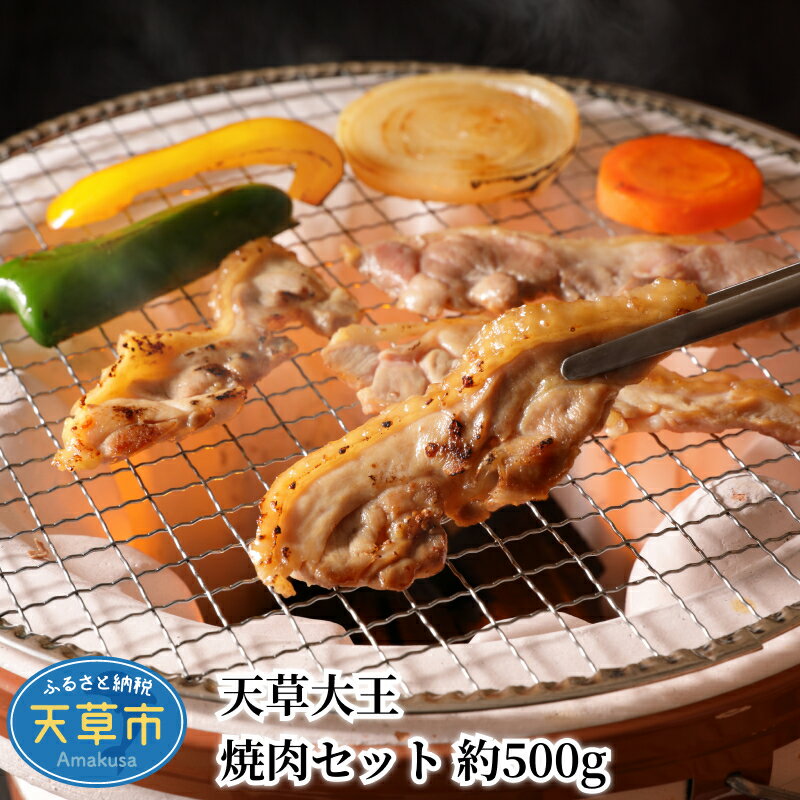 肉 鶏 鶏肉 焼肉 セット 約 500g モモ肉 むね肉 国産 日本最大級の地鶏 幻の地鶏 天草大王 食品 熊本 天草 歯ごたえ うま味 香り 筋肉質 お取り寄せ お取り寄せグルメ 真空パック 冷凍 送料無料