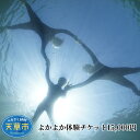 楽天熊本県天草市【ふるさと納税】よかよか体験チケット 15,000円 よかよか ダイビング利用券 体験 チケット ダイビング シュノーケル ライセンス 講習 体験プラン 熊本県 天草市 アクティビティ ビーチ ボートダイビング お取り寄せ 送料無料