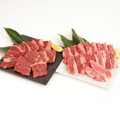 くまもとあか牛 カルビ 300g 肩ロース 300g 合計600g 肉 牛肉 和牛 赤牛 あか牛 焼肉 BBQ 熊本県産 九州産 国産 冷凍 送料無料