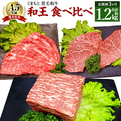 【3ヶ月 定期便】熊本県産 A5 等級 黒毛和牛 和王 食べ比べ 合計1.25kg モモ スライス 450g もも肉 ステーキ 300g 赤身 ブロック ブロック肉 500g お肉 牛肉 冷凍 国産 熊本県 合志市 送料無料