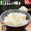 【ふるさと納税】熊本県 合志市産 くまさんの輝き 10kg 1袋 令和5年産 精米 白米 お米 米 ごはん ご飯 農家直送 除草剤不使用 有機質肥料使用 送料無料