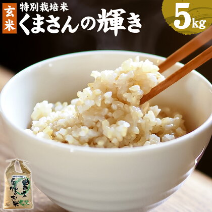 熊本県 合志市産 くまさんの輝き 5kg 1袋 令和5年産 玄米 お米 米 ごはん ご飯 農家直送 除草剤不使用 有機質肥料使用 送料無料
