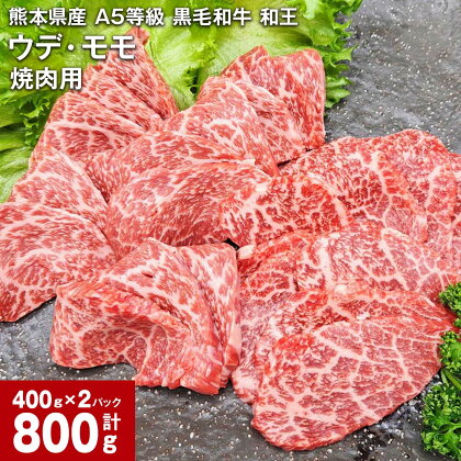 熊本県産 A5等級 黒毛和牛 和王 ウデ・モモ 焼肉用 計800g 牛肉 牛 肉 お肉 和牛 焼き肉 やきにく ウチヒラ ソトヒラ 高級 冷凍 真空パック 九州 熊本県 合志市 送料無料