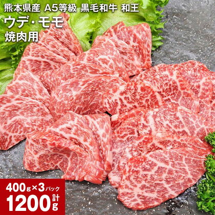 熊本県産 A5等級 黒毛和牛 和王 ウデ・モモ 焼肉用 計1200g 牛肉 牛 肉 お肉 和牛 焼き肉 やきにく ウチヒラ ソトヒラ 高級 冷凍 真空パック 九州 熊本県 合志市 送料無料