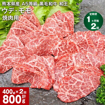 【定期便】【1ヶ月毎2回】熊本県産 A5等級 黒毛和牛 和王 ウデ・モモ 焼肉用 計800g（400g×2回） 牛肉 牛 肉 お肉 和牛 焼き肉 やきにく ウチヒラ ソトヒラ 高級 冷凍 真空パック 九州 熊本県 合志市 送料無料