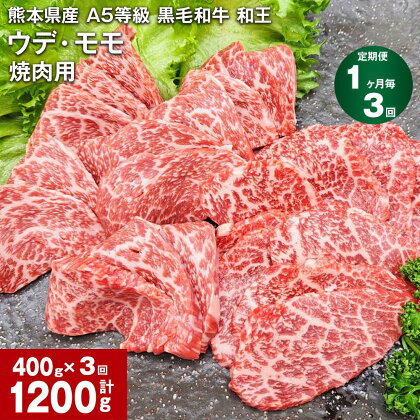 【定期便】【1ヶ月毎3回】熊本県産 A5等級 黒毛和牛 和王 ウデ・モモ 焼肉用 計1200g（400g×3回） 牛肉 牛 肉 お肉 和牛 焼き肉 やきにく ウチヒラ ソトヒラ 高級 冷凍 真空パック 九州 熊本県 合志市 送料無料