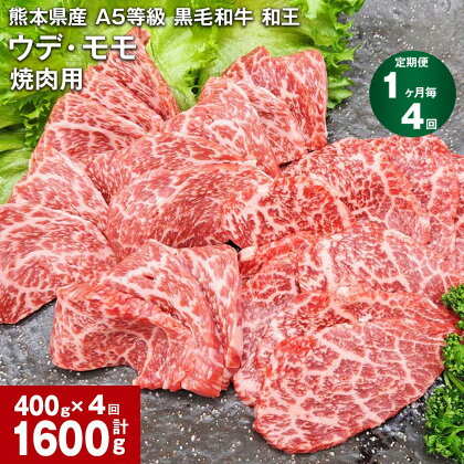 【定期便】【1ヶ月毎4回】熊本県産 A5等級 黒毛和牛 和王 ウデ・モモ 焼肉用 計1600g（400g×4回） 牛肉 牛 肉 お肉 和牛 焼き肉 やきにく ウチヒラ ソトヒラ 高級 冷凍 真空パック 九州 熊本県 合志市 送料無料