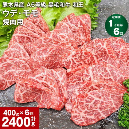 【定期便】【1ヶ月毎6回】熊本県産 A5等級 黒毛和牛 和王 ウデ・モモ 焼肉用 計2400g（400g×6回） 牛肉 牛 肉 お肉 和牛 焼き肉 やきにく ウチヒラ ソトヒラ 高級 冷凍 真空パック 九州 熊本県 合志市 送料無料