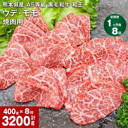 【定期便】【1ヶ月毎8回】熊本県産 A5等級 黒毛和牛 和王 ウデ・モモ 焼肉用 計3200g（400g×8回） 牛肉 牛 肉 お肉 和牛 焼き肉 やきにく ウチヒラ ソトヒラ 高級 冷凍 真空パック 九州 熊本県 合志市 送料無料