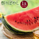 【ふるさと納税】祭りばやし Lサイズ以上 1玉 スイカ 果物 フルーツ 野菜 熊本県産 国産 ギフト 贈り物 送料無料【2024年6月上旬-2024年7月上旬発送予定】