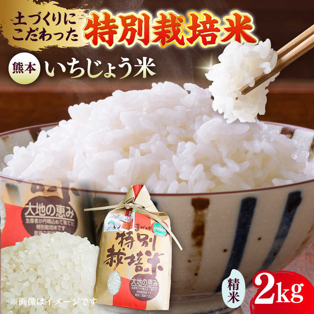 いちじょう 米（品種 にこまる） 精米 2kg 熊本県産 お米 白米 【一般社団法人クラッシーノこうし】[AYAB022]