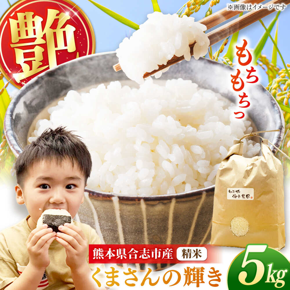 わぶ城湧水農園 精米 5kg くまさんの輝き お米 熊本県 【一般社団法人クラッシーノこうし】[AYAB051]