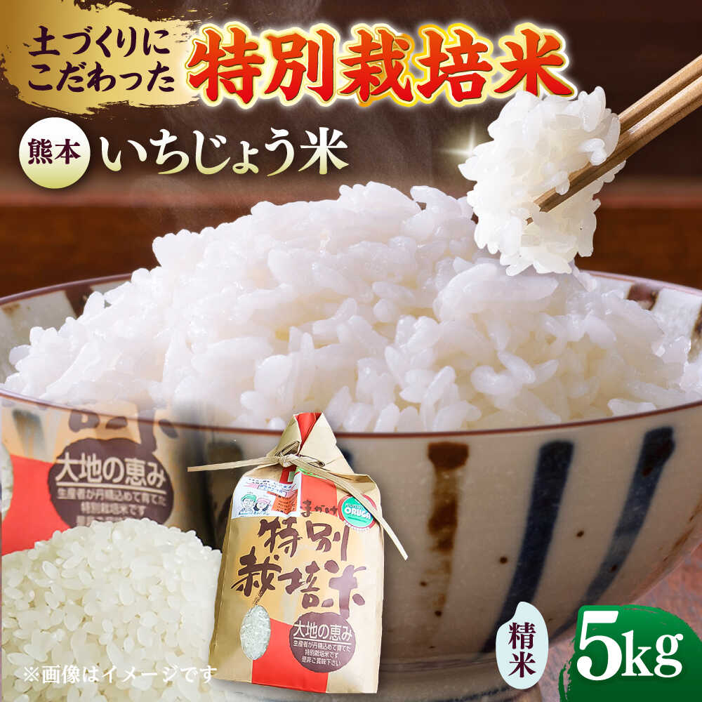 いちじょう 米（品種 にこまる） 精米 5kg 熊本県産 お米 白米 【一般社団法人クラッシーノこうし】[AYAB053]
