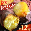 熊本県合志市の画像1