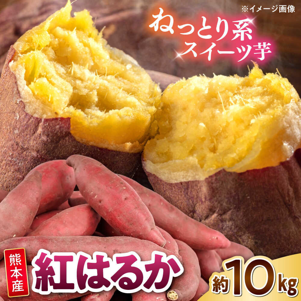 【ふるさと納税】紅はるか秀品約10...