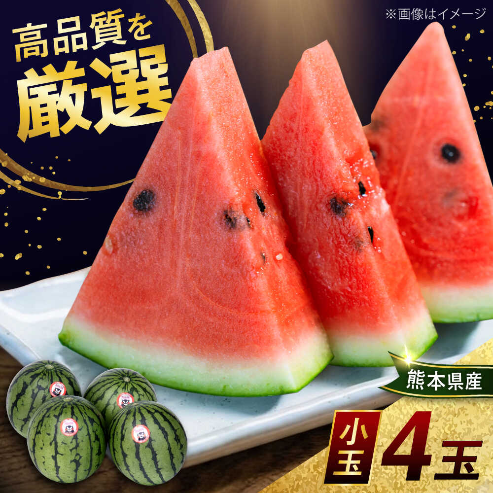 【ふるさと納税】熊本県産 小玉 スイカ (4玉) 計約8kg 2L階級 西瓜 すいか ひとりじめ 【菊池地域農業協同組合】[AYBR009]