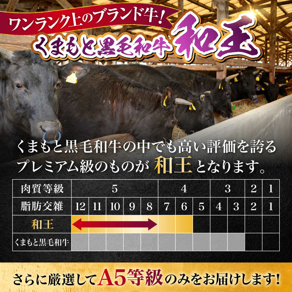 【ふるさと納税】【全12回定期便】熊本県産A5等級和王 モモスライス 約450g 計約5.4kg【帝神志方ミート 株式会社】[AYCH045] 牛 肉 もも モモ スライス しゃぶしゃぶ すき焼き A5 和牛 国産 熊本 九州 定期便 f432164-koshi-10002359 熊本県合志市 サンプル画像3