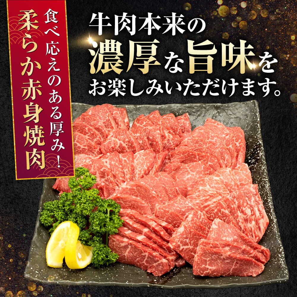 【ふるさと納税】熊本県産 A5等級 黒毛和牛 和王 柔らか赤身焼肉 約300g×4P 計約1.2kg タレ2本付き【帝神志方ミート 株式会社】[AYCH082] 牛 肉 赤身 切り落とし 焼き肉 バーベキュー タレ A5 和牛 国産 熊本 九州 f432164-koshi-10002370 熊本県合志市 サンプル画像3