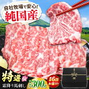 【ふるさと納税】【全6回定期便】『純国産』熊本の味「桜」霜降り馬刺し「特選」 計約1.8kg(約300g×6回) 霜降り 馬肉 馬刺【有限会社 九州食肉産業】[...