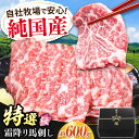 【ふるさと納税】『純国産』熊本の味「桜」霜降り馬刺し「特選」 計約600g(約300g×2セット) 霜降り 馬肉 馬刺【有限会社 九州食肉産業】[AYCN022...