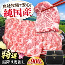 【ふるさと納税】『純国産』熊本の味「桜」霜降り馬刺し「特選」 計約900g(約300g×3セット) 霜降り 馬肉 馬刺【有限会社 九州食肉産業】[AYCN025...
