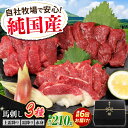 【ふるさと納税】【全6回定期便】『純国産』熊本の味 馬刺し お試し 3種 セット 計約210g(2〜3人前)上霜降り 霜降り 赤身 タレ付【有限会社 九州食肉産...