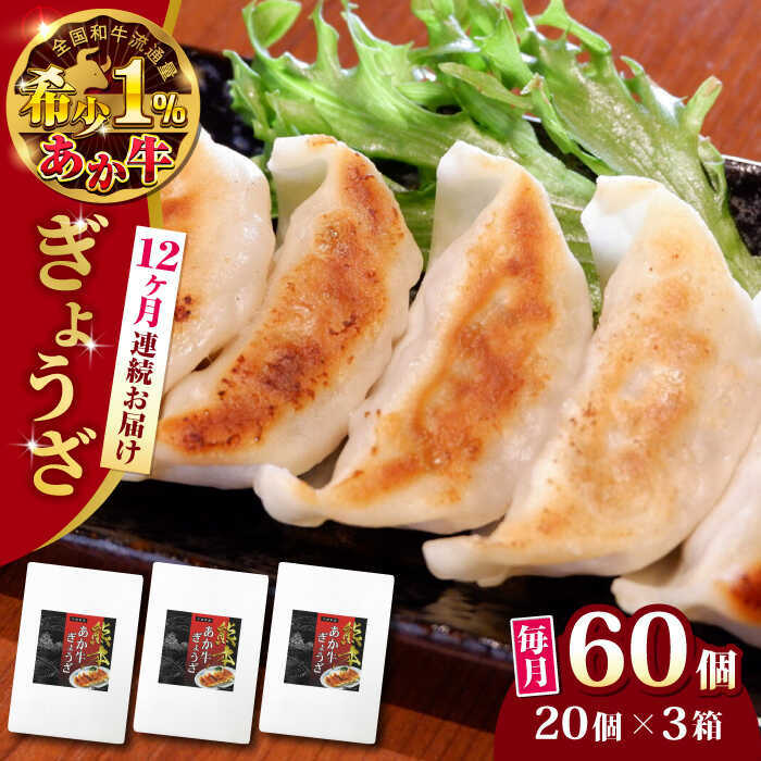 [全12回定期便]熊本県産 あか牛 ぎょうざ 20個×3箱 熊本 赤牛[有限会社 三協畜産][AYCQ091]
