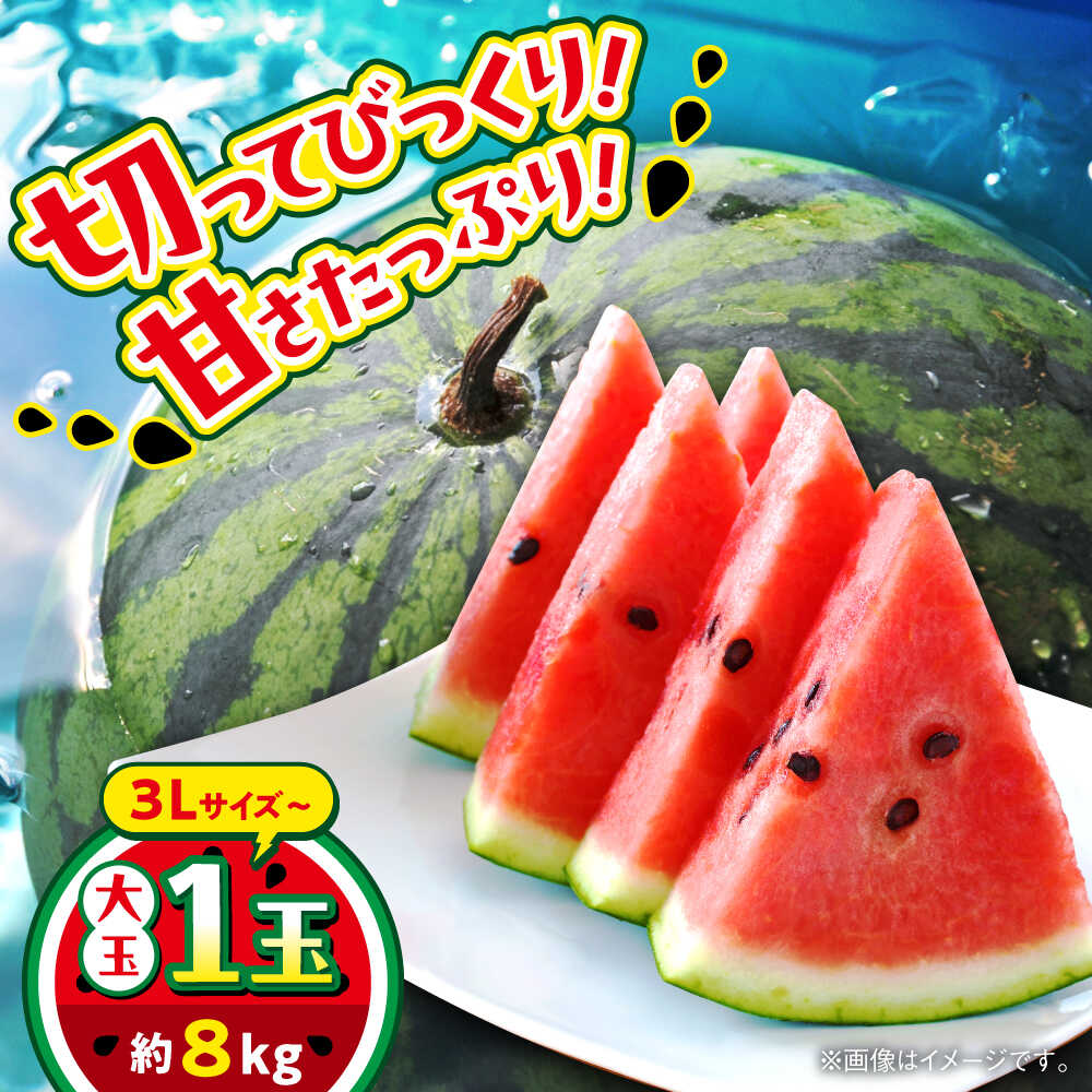 合志市産 スイカ 約8kg