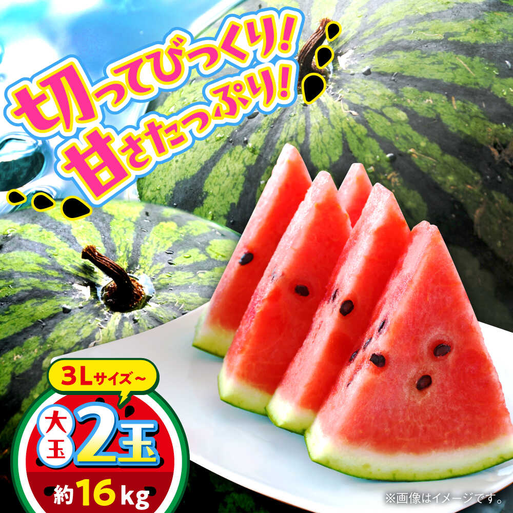 合志市産 スイカ 約16kg