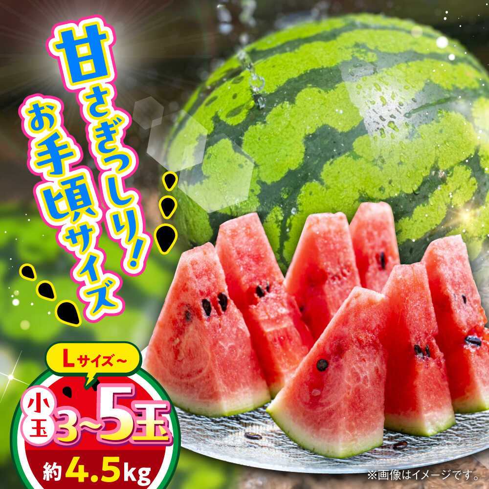 合志市産 スイカ 約4.5kg