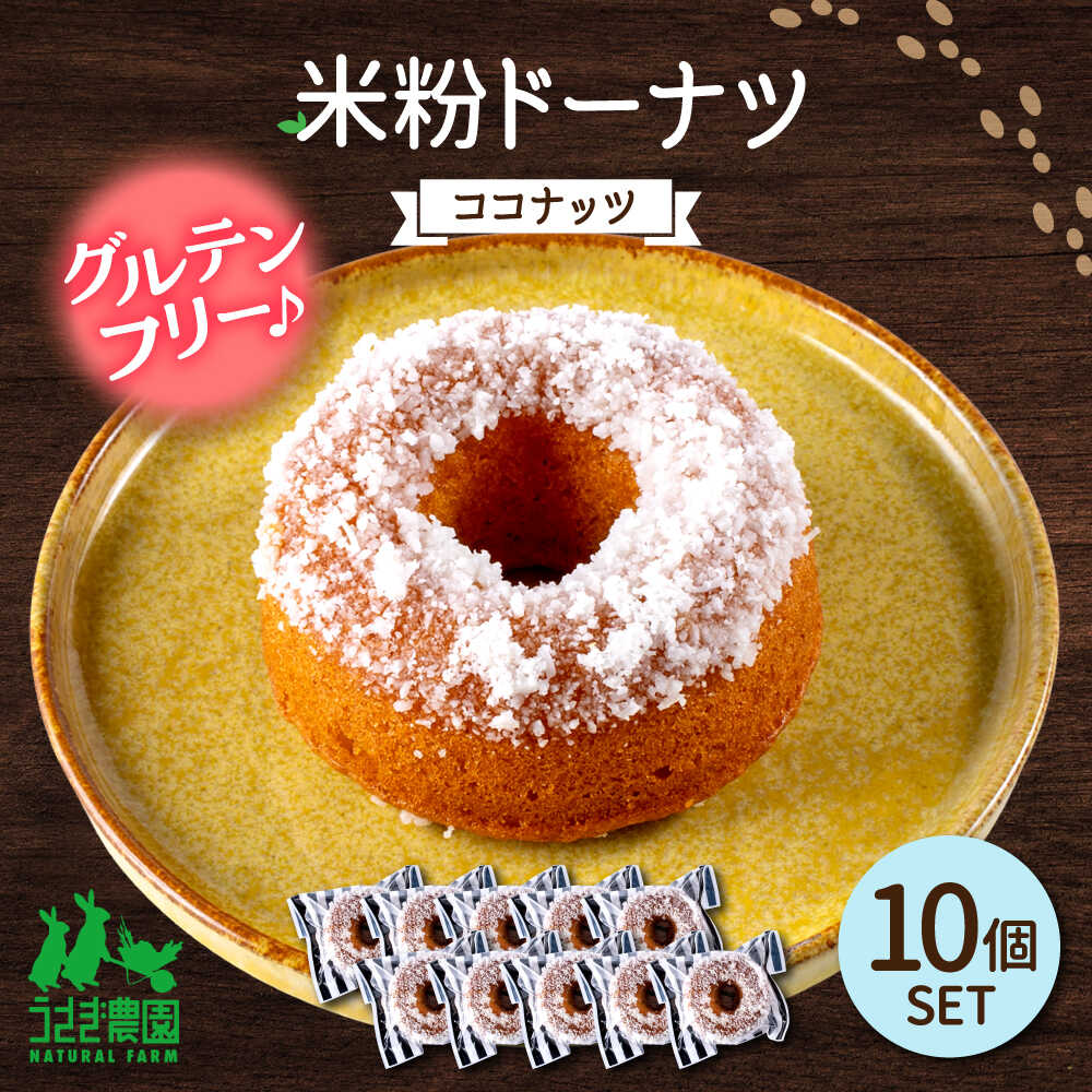 米粉ドーナツ（ココナッツ）10個セット【うさぎ農園】[AYDJ032]