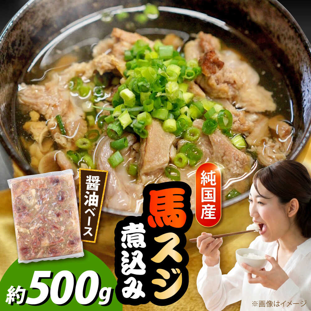 【ふるさと納税】純国産馬 馬スジ煮込み 約500g / 馬肉 馬すじ 馬スジ 煮込み 熊本県 合志市【株式会社古閑ファーム】[AYDK016]