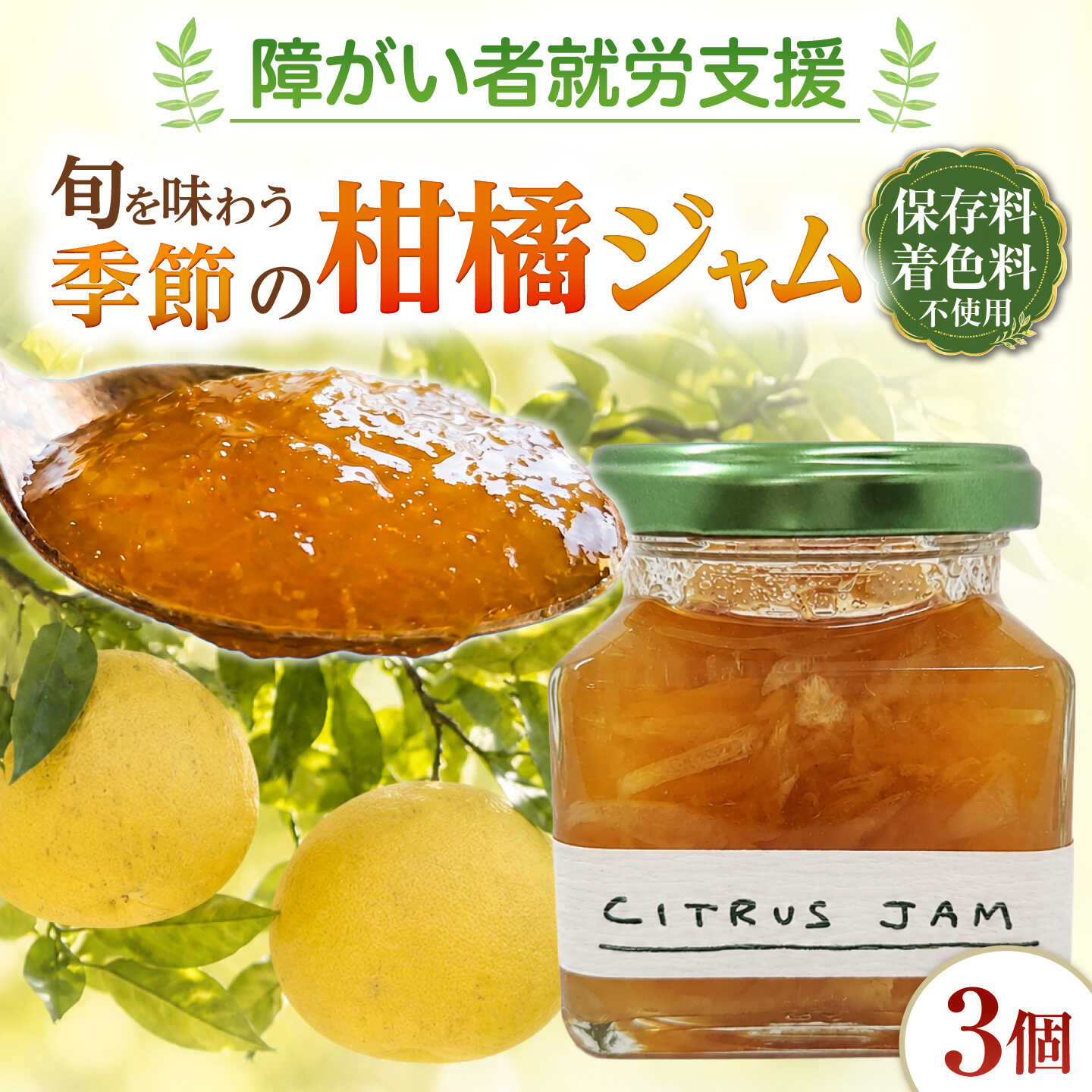 季節のジャム 3個セット / ジャム 果物 旬 熊本県 合志市【株式会社サンコーライフサポート】[AYDN002]