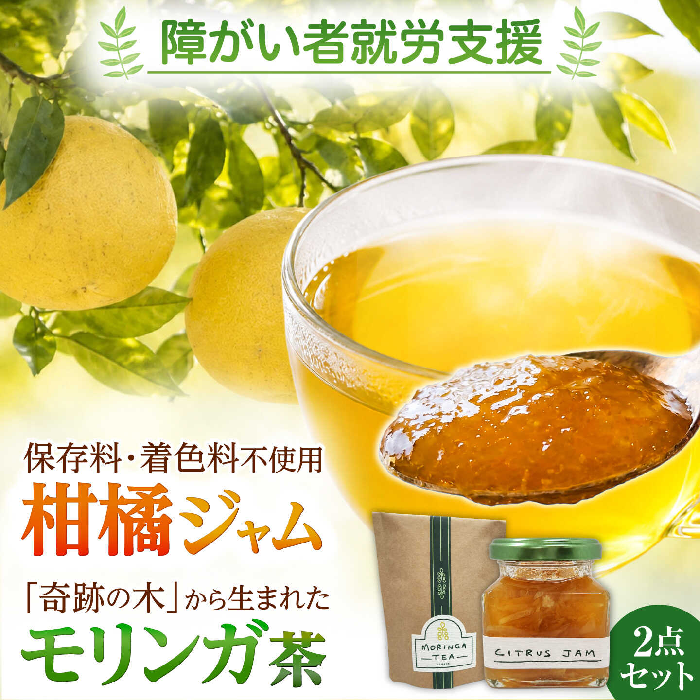 季節のジャムとモリンガ茶 セット / ジャム 果物 旬 モリンガ お茶 熊本県 合志市【株式会社サンコーライフサポート】[AYDN003]