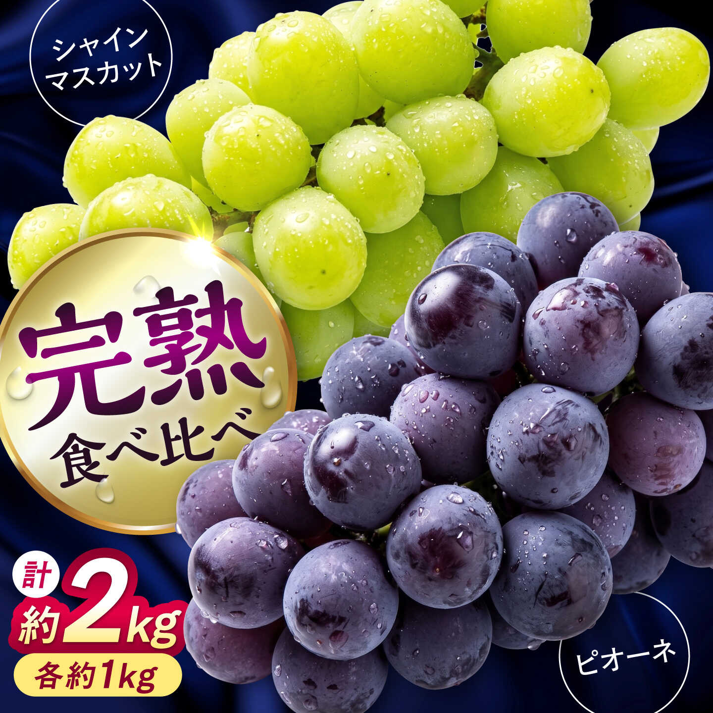 [先行予約][2026年8月下旬発送開始]熊本県産 種なしピオーネ&シャインマスカット 各1kg 計約2kg 食べ比べ セット / ぶどう ブドウ フルーツ 果物 くだもの 青果[有限会社 高司農園][AYDP004]