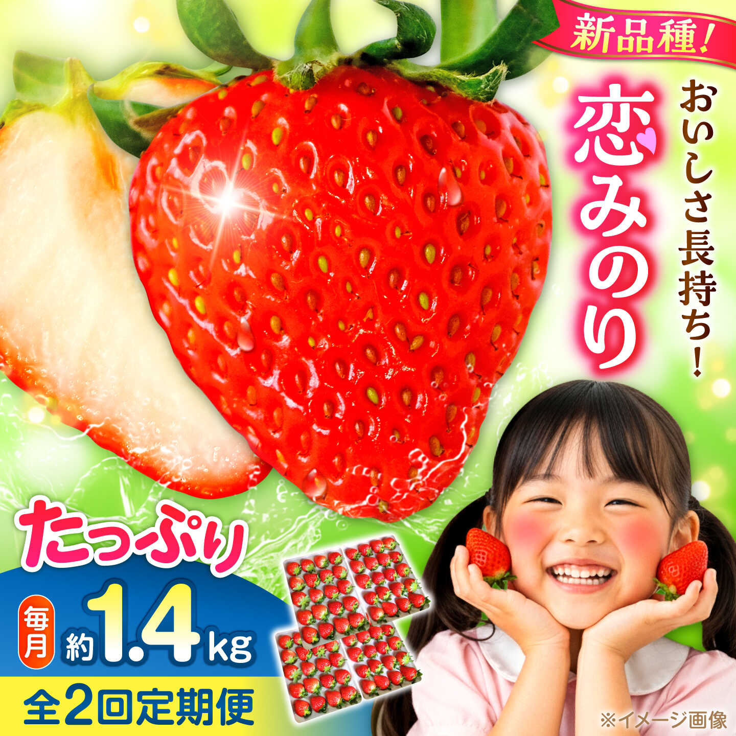 【先行予約】【2027年2月中旬より順次発送】【全2回定期便】いちご 恋みのり 百花園ファーム 約1.4kg（約350g×4P）20粒/P Lサイズ 【株式会社合志百花園ファーム】[AYDW004]